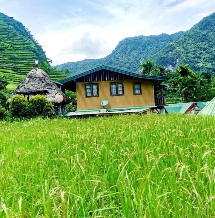 Batad Village Homestay & Restaurant Banaue Buitenkant foto